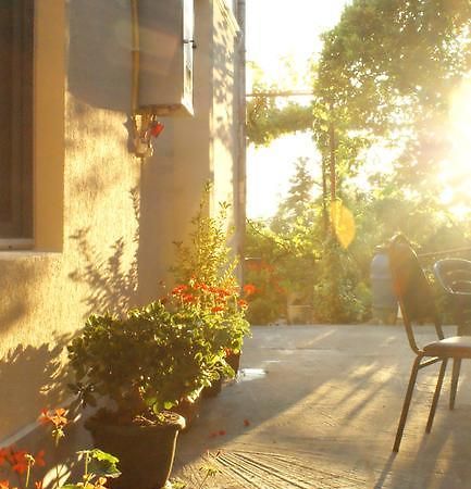 Merabi And Neli Guest House 마킨자우리 외부 사진