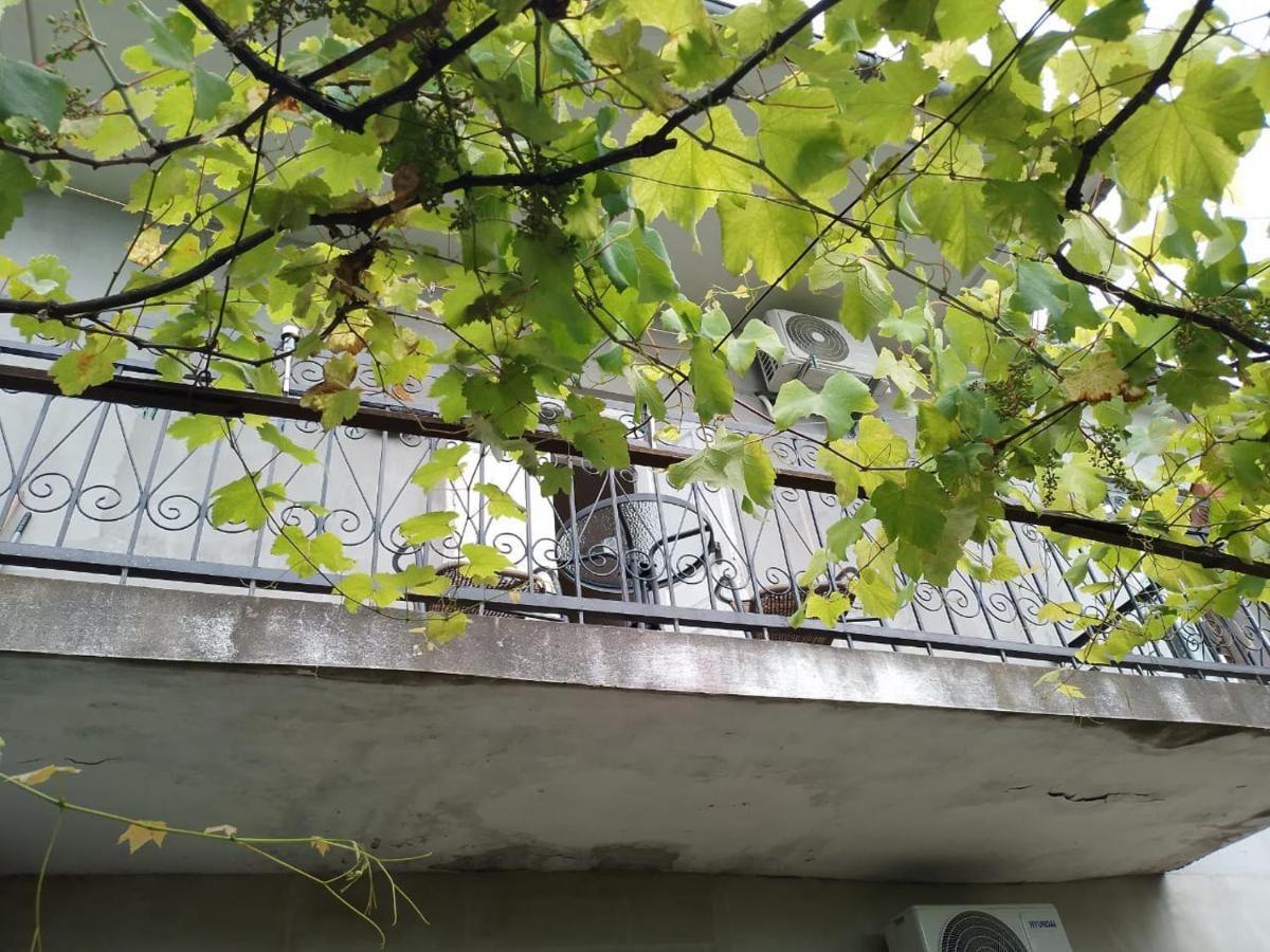 Merabi And Neli Guest House 마킨자우리 외부 사진