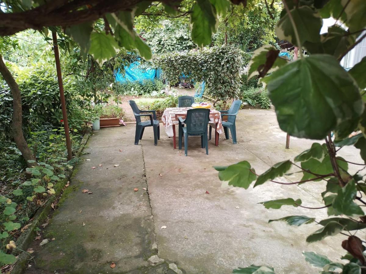Merabi And Neli Guest House 마킨자우리 외부 사진