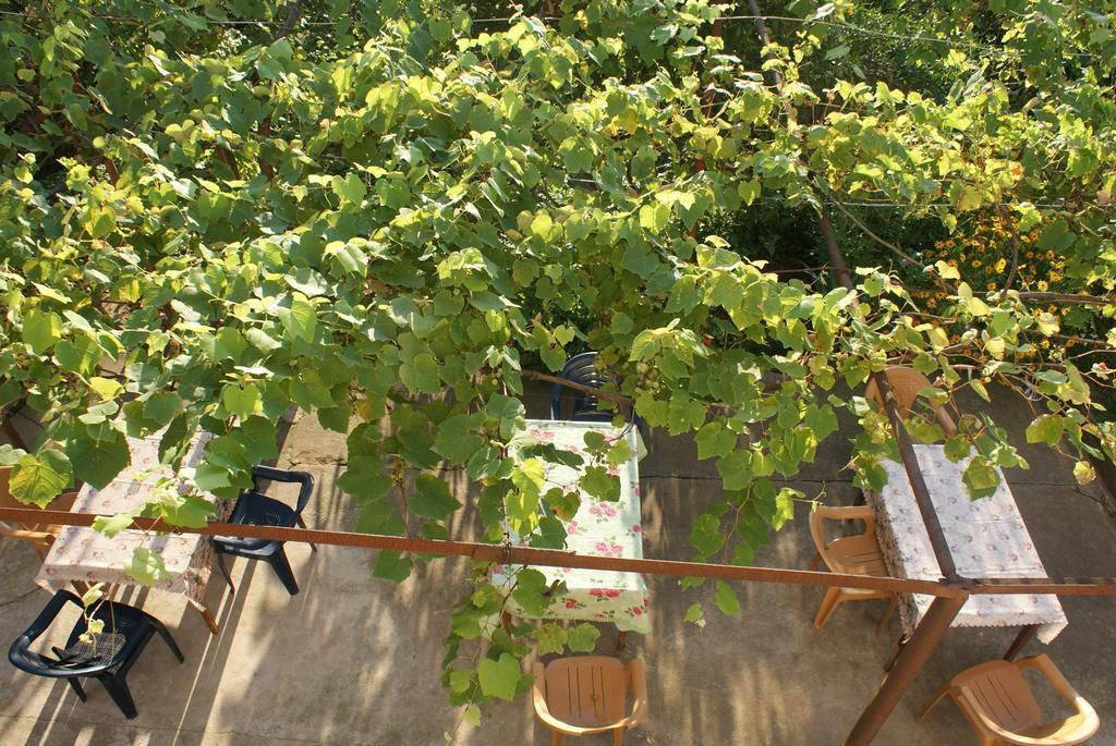 Merabi And Neli Guest House 마킨자우리 객실 사진