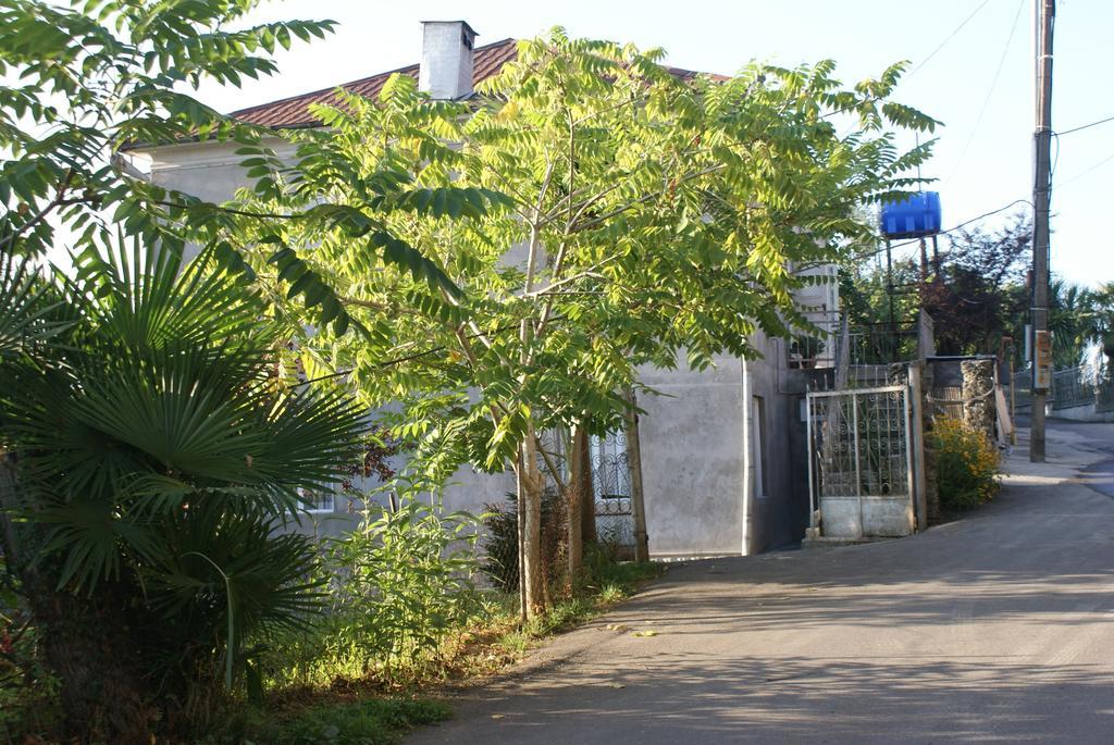 Merabi And Neli Guest House 마킨자우리 외부 사진